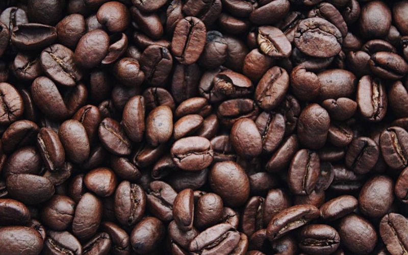 Giá cà phê trong nước hôm nay