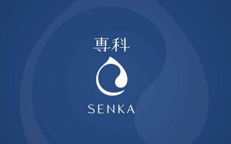 Thương hiệu Senka ra đời vào 2002 tại Nhật