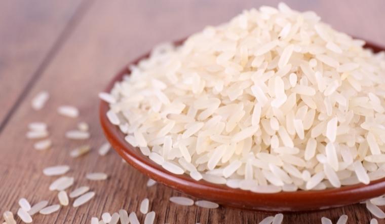 Giá lúa gạo hôm nay 14/6/2022: Nhiều giống lúa tăng 50-100 đồng/kg