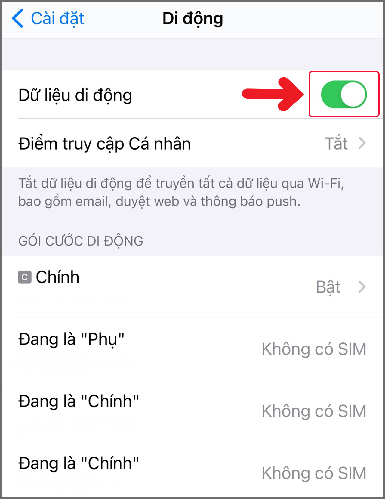 Cách bật mạng di động trên iPhone