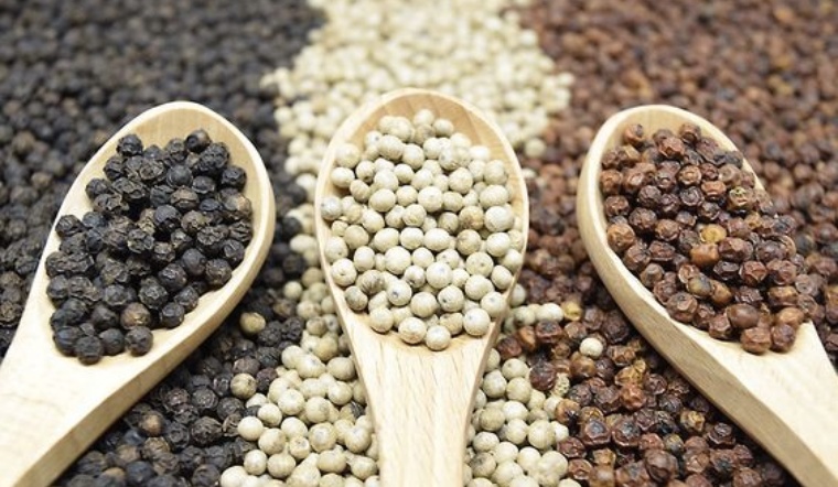 Giá tiêu hôm nay 15/6/2022: Tăng 500 đồng/kg, dao động 72.000-75.500 đồng/kg