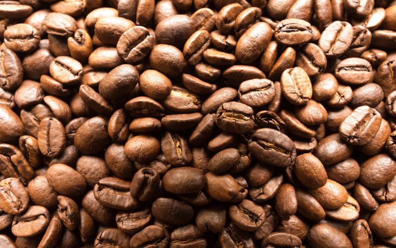 Giá cà phê trong nước hôm nay Giá cà phê trong nước hôm nay