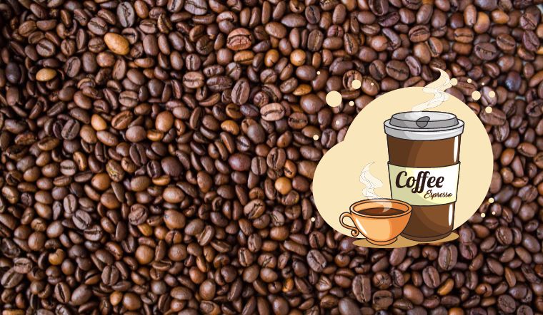 Giá cà phê hôm nay 15/6/2022: Giá cà phê trong nước đồng loạt tăng 200đ