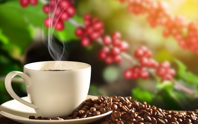 Giá cà phê Robusta giao dịch tại London