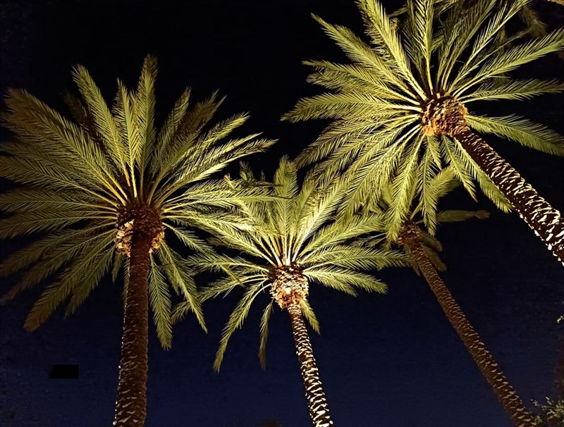 Ảnh chụp bằng chế độ Super Night Mode trên Tecno Camon 19 Pro 5G