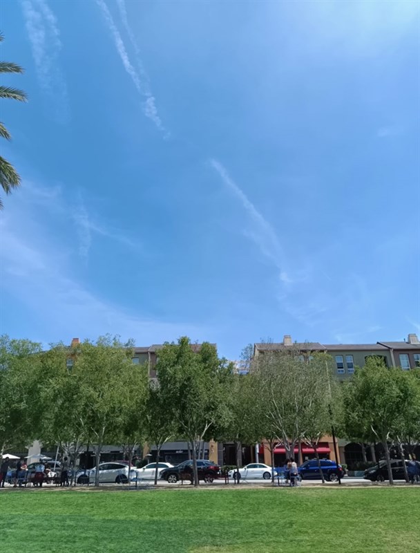 Ảnh chụp bằng Tecno Camon 19 Pro 5G trong điều kiện đủ sáng