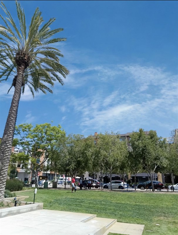 Ảnh chụp bằng Tecno Camon 19 Pro 5G có chi tiết và cân bằng trắng khá tốt