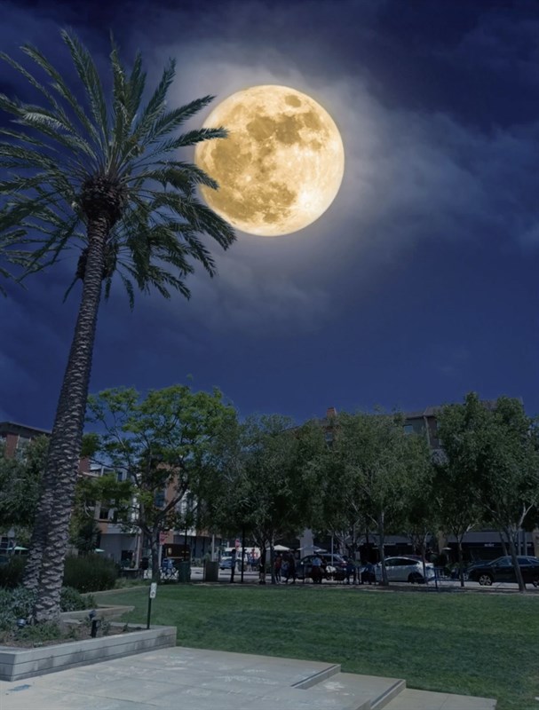 Tecno Camon 19 Pro 5G có thể thay nền trời bằng AI giúp bức ảnh trông 'nghệ' hơn