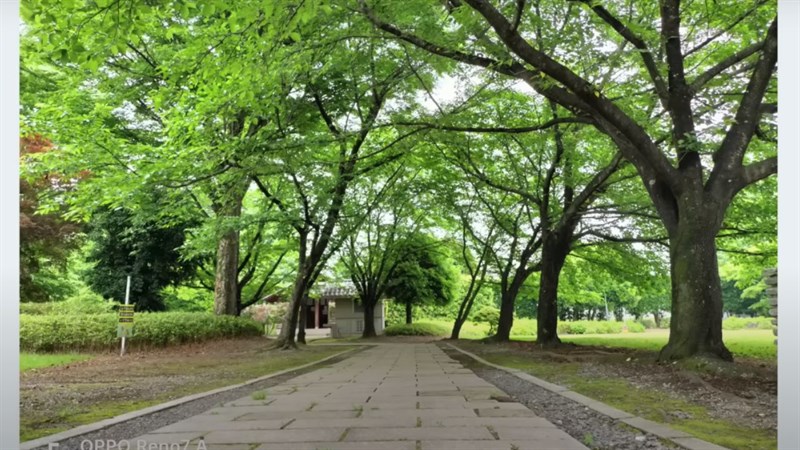 Camera của OPPO Reno7 A Camera của OPPO Reno7 A