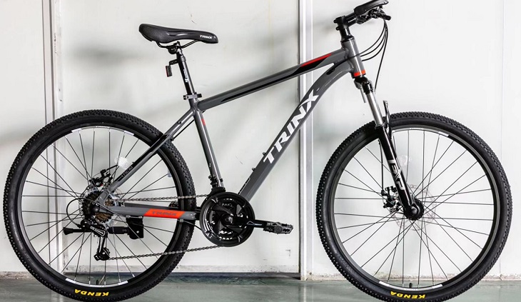 Xe đạp Trinx 216 có kiểu thiết kế cứng cáp, mạnh mẽ