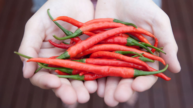 Giá ớt dao động từ 48.000 - 73.000 đồng/kg