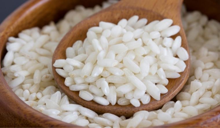 Giá lúa gạo hôm nay 20/6/2022: Lúa OM 5451 tăng 300 đồng/kg