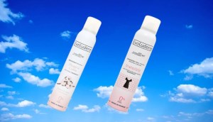 Top 2 xịt thơm toàn thân của Evoluderm được ưa chuộng