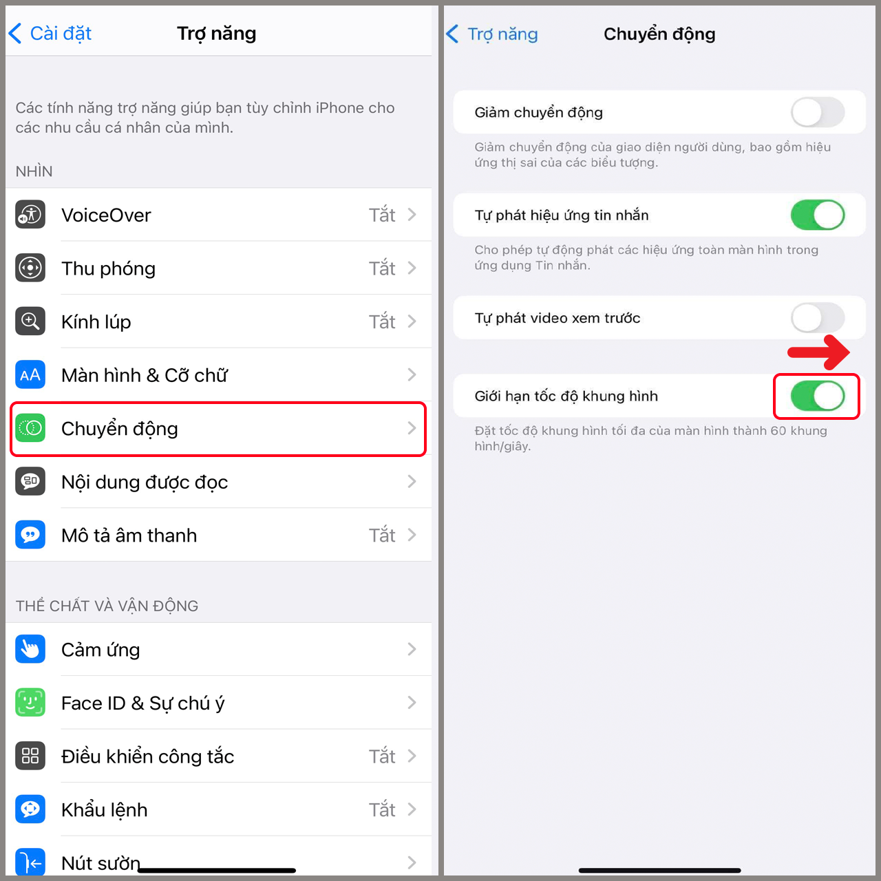 Kiểm Tra Tần Số Quét Màn Hình iPhone: Hướng Dẫn Chi Tiết và Đầy Đủ