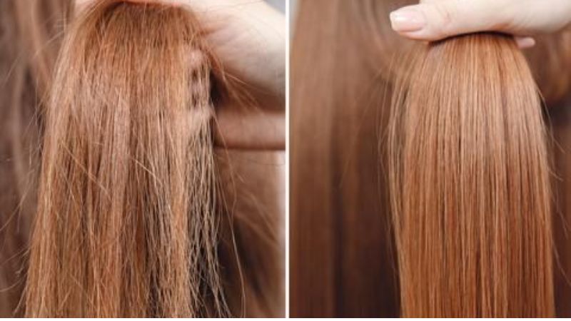 Ưu điểm của dầu gội Evoluderm Ưu điểm của dầu gội Evoluderm