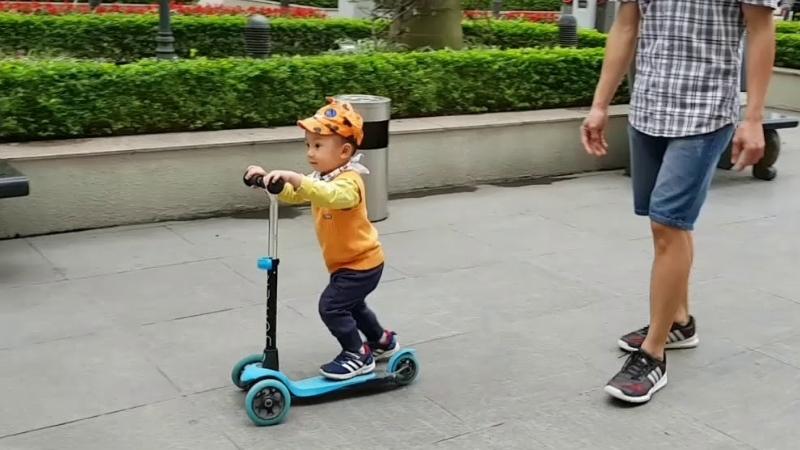 Xe trượt Scooter