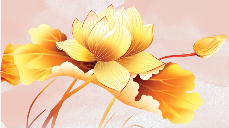 Hoa sen vàng phong thủy