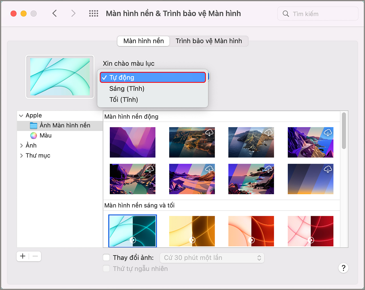 Top hình nền động wallpaper engine desktop tuyệt đẹp download chọn lọc 2021  | Vietnam ITX