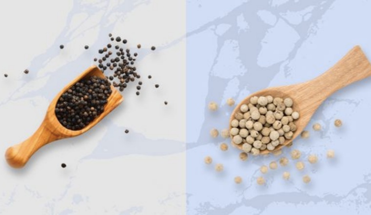 Giá tiêu hôm nay 24/6/2022: Đi ngang, dao động 70.500-73.500 đồng/kg