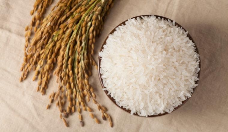 Giá lúa gạo hôm nay 24/6/2022: Duy trì ổn định ở nhiều giống lúa gạo