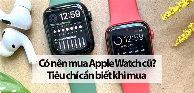Có nên mua Apple Watch cũ không? Tiêu chí cần biết khi mua Apple Watch cũ