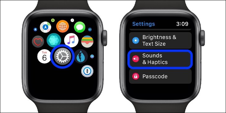 Kiểm tra âm thanh Apple Watch cũ