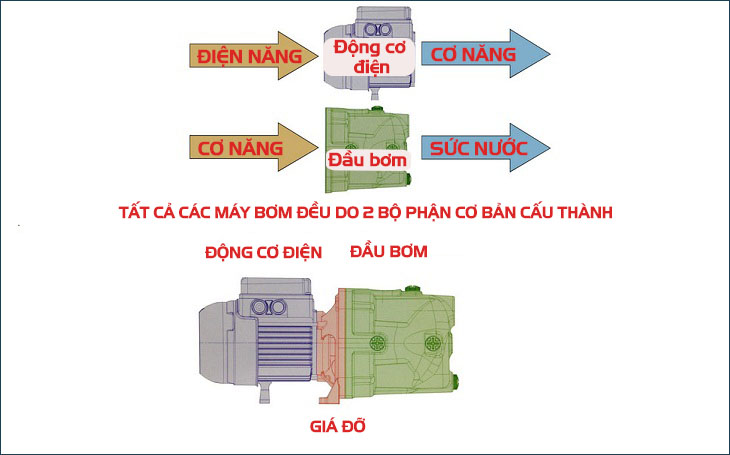 Cấu tạo