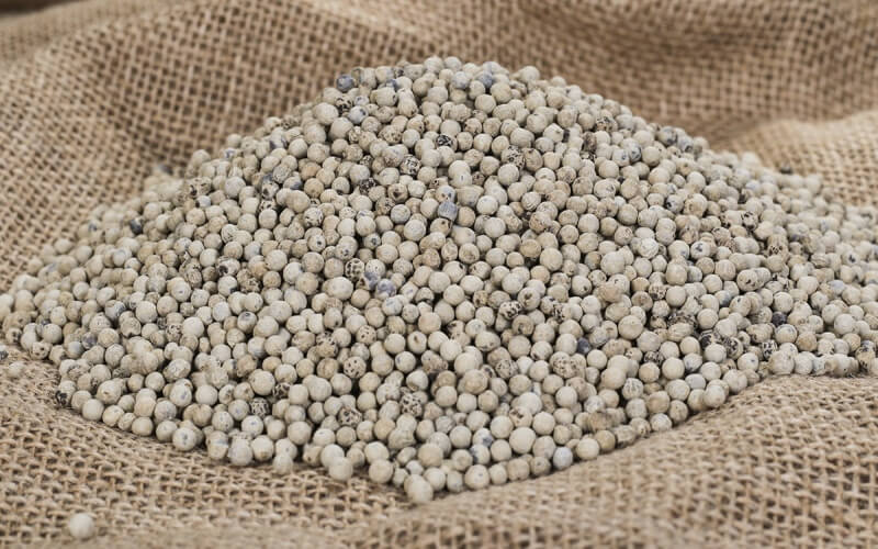 Giá tiêu thế giới