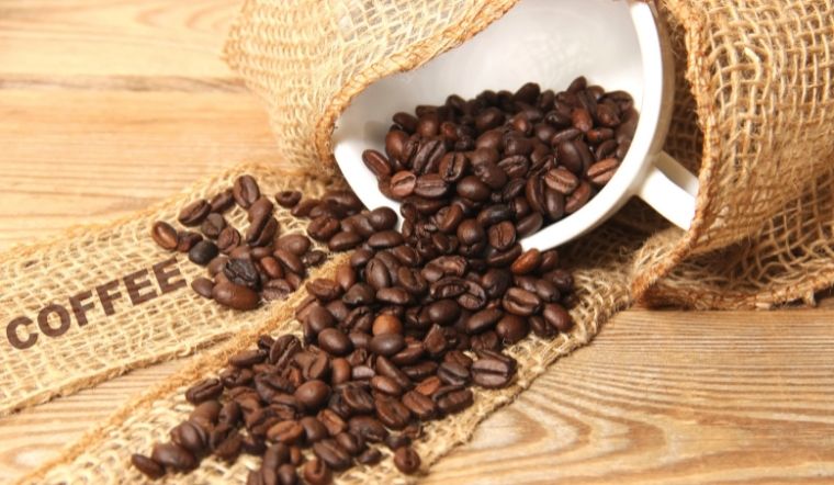 Giá cà phê hôm nay 29/6/2022: Giá cà phê đồng loạt giảm 400đ/kg