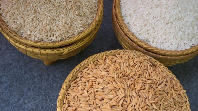 Giá gạo hôm nay 29/6 Giá gạo hôm nay 29/6