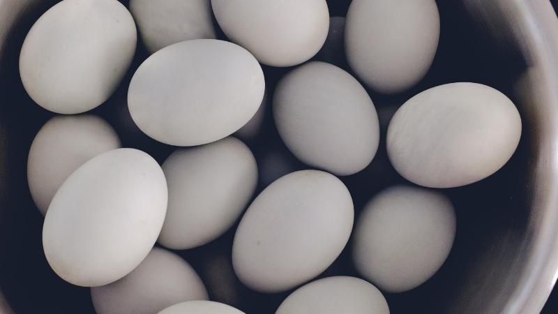 Tác dụng của trứng vịt đối với sức khỏe