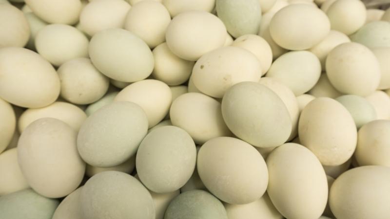 Cách chọn trứng vịt ngon, không bơm hóa chất