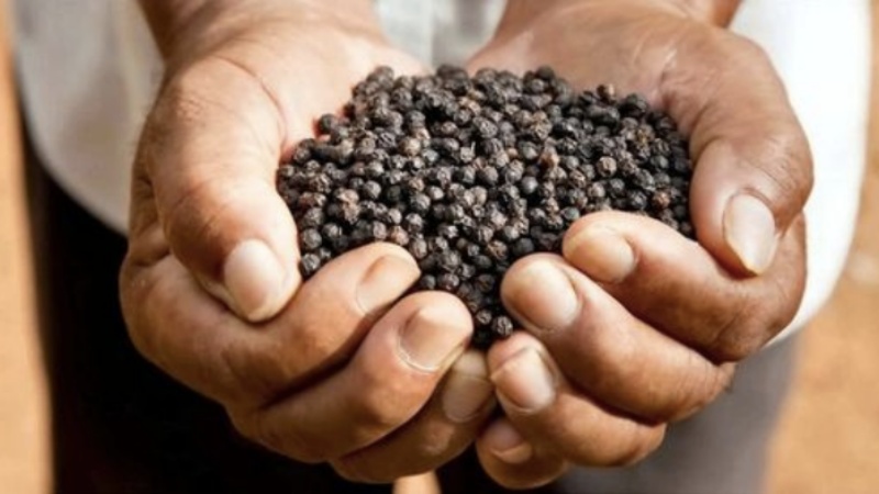 Giá tiêu thế giới