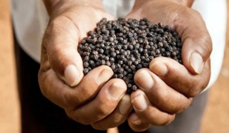 Giá tiêu hôm nay 1/7/2022: Giữ nguyên, dao động 69.000-72.000 đồng/kg