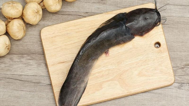 Giá trị dinh dưỡng của cá trê với thai nhi