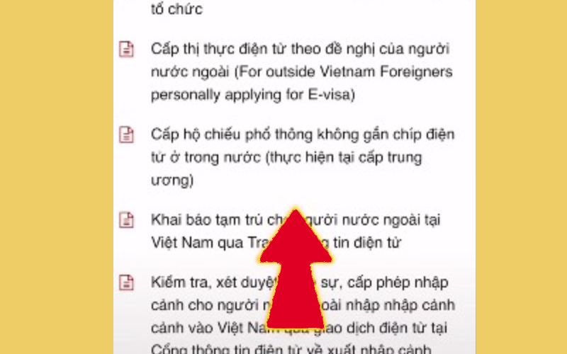 Chọn Cấp hộ chiếu phổ thông không gắn chíp điện tử