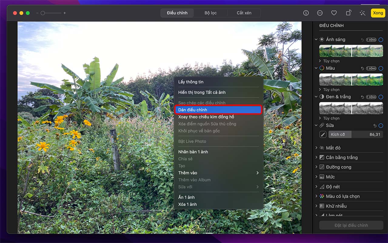 Chỉnh sửa ảnh trên MacBook Chỉnh sửa ảnh trên MacBook
