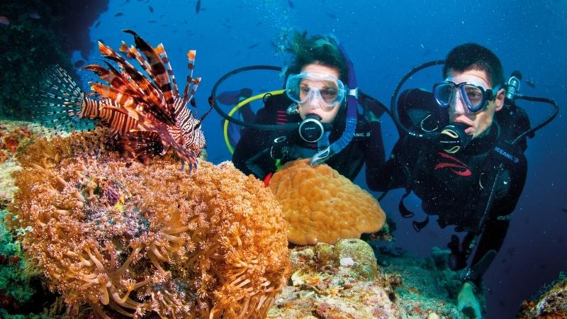 Review lặn biển ngắm san hô tại Nha Trang từ A – Z