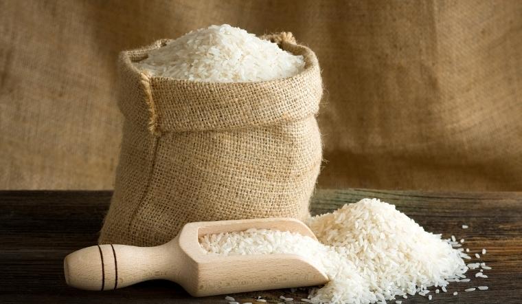 Giá lúa gạo hôm nay 5/7/2022: Lúa IR 50404 giảm 50 đồng/kg