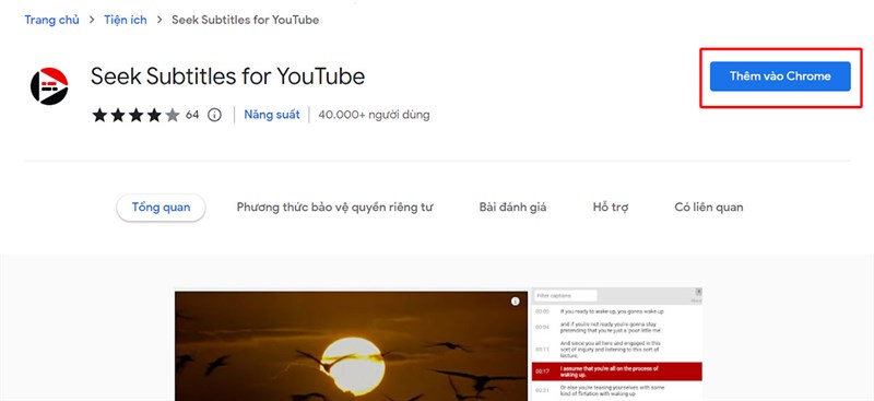 5 tiện ích mở rộng trên Chrome dành cho Youtube Seek Subtitles for YouTube