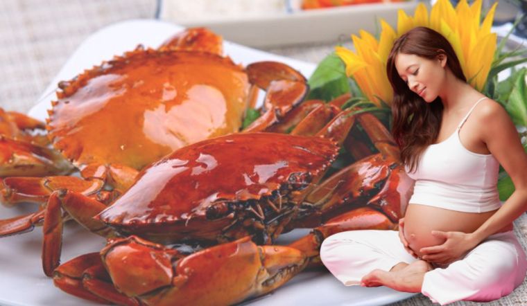 Bà bầu có nên ăn cua không? Những lưu ý khi ăn cua 