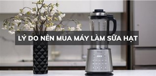 10 lý do nên sắm ngay một chiếc máy làm sữa hạt cho gia đình