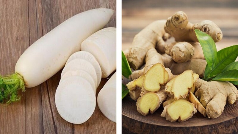 Củ cải trắng với gừng sẽ giúp ức chế vi khuẩn và kháng viêm, giảm đờm