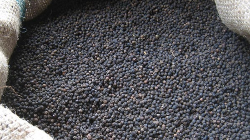 Giá tiêu hôm nay 8/7/2022 trong nước Giá tiêu hôm nay 8/7/2022 trong nước