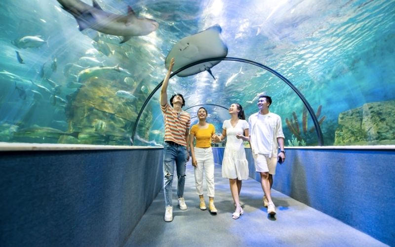 Vinpearl Aquarium Times City