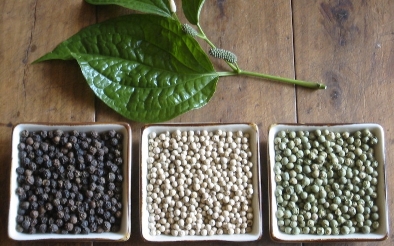 Giá tiêu thế giới