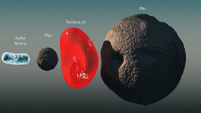 Bụi mịn PM2.5 nhỏ hơn nhiều so với tế bào hồng cầu