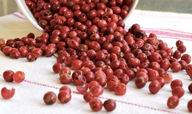 Giá tiêu thế giới