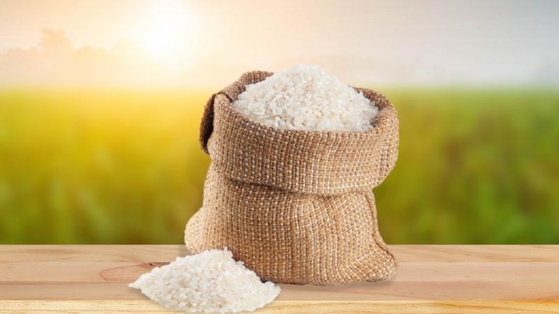 Giá gạo hôm nay 12/7 Giá gạo hôm nay 12/7