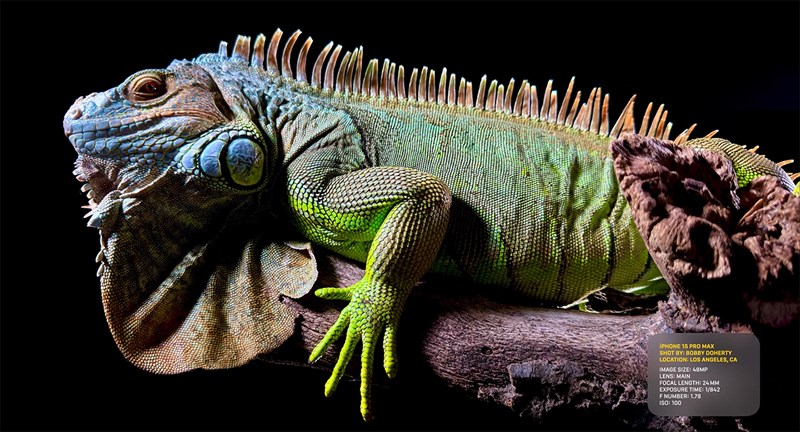 Ảnh chụp iPhone 15 Pro Max cực kỳ ấn tượng